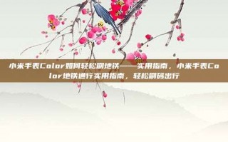 小米手表Color如何轻松刷地铁——实用指南，小米手表Color地铁通行实用指南，轻松刷码出行