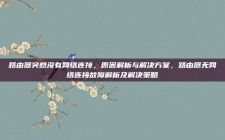 路由器突然没有网络连接，原因解析与解决方案，路由器无网络连接故障解析及解决策略