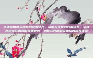 华硕路由器与梅林的完美结合，功能与性能的双重提升，华硕路由器与梅林的双重优势，功能与性能的完美结合提升体验