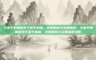 小米手机刷机包下载手机版，全面解析与实用指南，小米手机刷机包下载手机版，全面解析与实用指南攻略