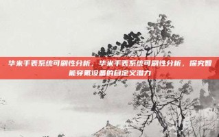 华米手表系统可刷性分析，华米手表系统可刷性分析，探究智能穿戴设备的自定义潜力