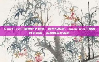 SamFirm三星固件下载器，探索与解析，SamFirm三星固件下载器，深度探索与解析