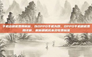 手机店刷机费用解析，以OPPO手机为例，OPPO手机刷机费用详解，解析刷机成本及收费标准