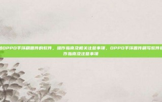 给OPPO手环刷固件的软件，操作指南及相关注意事项，OPPO手环固件刷写软件操作指南及注意事项