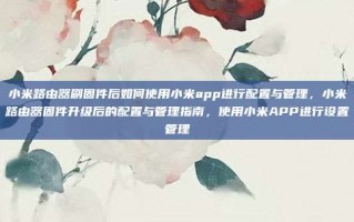 小米路由器刷固件后如何使用小米app进行配置与管理，小米路由器固件升级后的配置与管理指南，使用小米APP进行设置管理