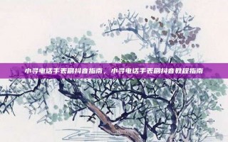 小寻电话手表刷抖音指南，小寻电话手表刷抖音教程指南