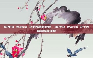 OPPO Watch 2手表刷机教程，OPPO Watch 2手表刷机教程详解