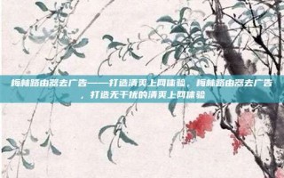 梅林路由器去广告——打造清爽上网体验，梅林路由器去广告，打造无干扰的清爽上网体验