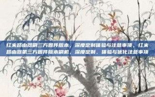 红米路由器刷三方固件版本，深度定制体验与注意事项，红米路由器第三方固件版本刷机，深度定制、体验与优化注意事项