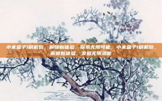 小米盒子1刷机包，解锁新体验，探索无限可能，小米盒子1刷机包，解锁新体验，发掘无限潜能