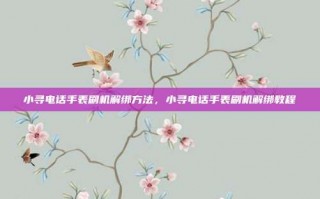 小寻电话手表刷机解绑方法，小寻电话手表刷机解绑教程