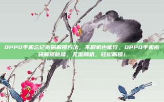 OPPO手机忘记密码解锁方法，不刷机也能行，OPPO手机密码解锁秘籍，无需刷机，轻松解锁！