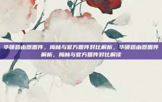 华硕路由器固件，梅林与官方固件对比解析，华硕路由器固件解析，梅林与官方固件对比解读