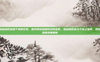 路由器百兆和千兆的区别，探究网络速度背后的差异，路由器百兆与千兆之差异，网络速度深度解析