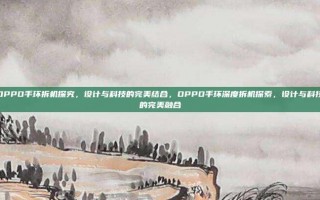 OPPO手环拆机探究，设计与科技的完美结合，OPPO手环深度拆机探索，设计与科技的完美融合